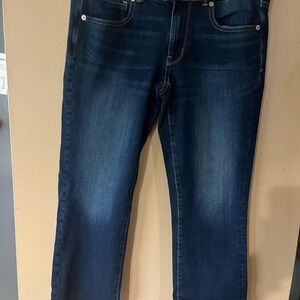 American Eagle Artist Crop Jeans